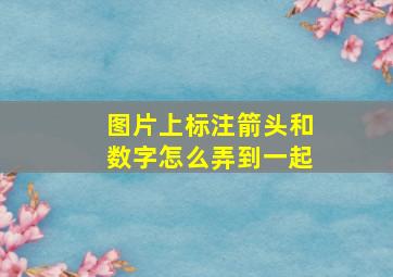 图片上标注箭头和数字怎么弄到一起