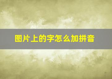 图片上的字怎么加拼音