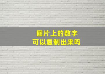 图片上的数字可以复制出来吗