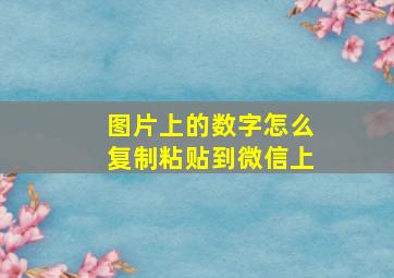 图片上的数字怎么复制粘贴到微信上