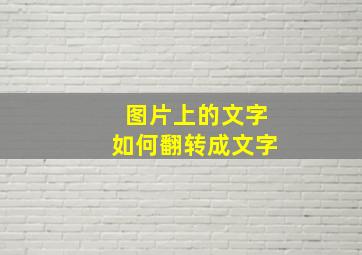 图片上的文字如何翻转成文字