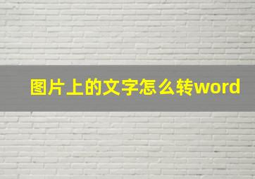 图片上的文字怎么转word