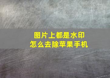 图片上都是水印怎么去除苹果手机