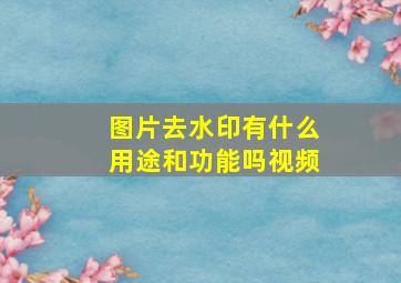 图片去水印有什么用途和功能吗视频