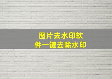 图片去水印软件一键去除水印