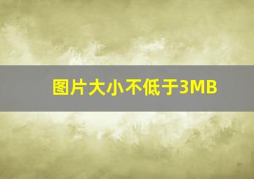 图片大小不低于3MB