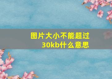 图片大小不能超过30kb什么意思