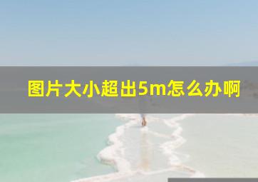 图片大小超出5m怎么办啊