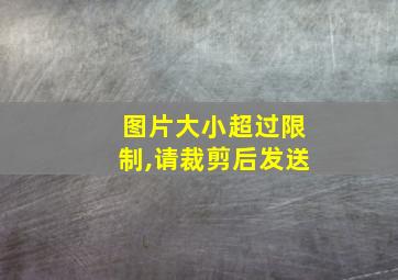 图片大小超过限制,请裁剪后发送