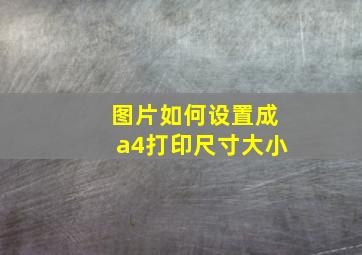 图片如何设置成a4打印尺寸大小