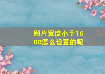 图片宽度小于1600怎么设置的呢