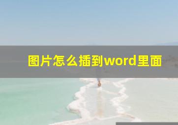 图片怎么插到word里面