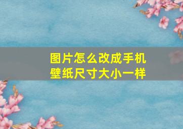 图片怎么改成手机壁纸尺寸大小一样