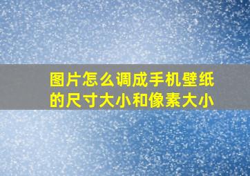 图片怎么调成手机壁纸的尺寸大小和像素大小