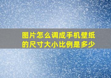 图片怎么调成手机壁纸的尺寸大小比例是多少