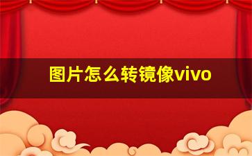 图片怎么转镜像vivo