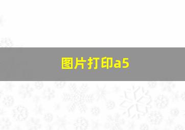 图片打印a5