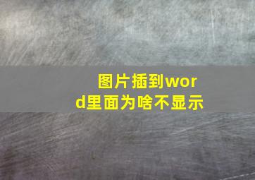 图片插到word里面为啥不显示