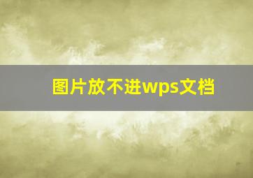 图片放不进wps文档