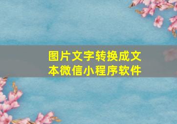 图片文字转换成文本微信小程序软件