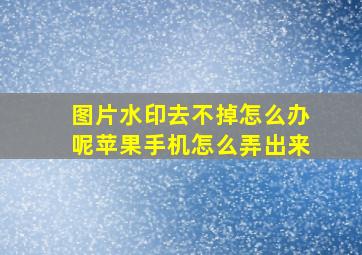 图片水印去不掉怎么办呢苹果手机怎么弄出来