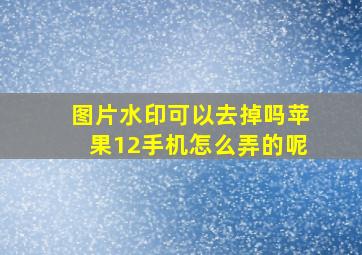 图片水印可以去掉吗苹果12手机怎么弄的呢