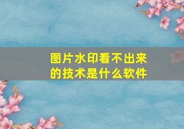 图片水印看不出来的技术是什么软件