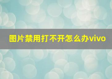 图片禁用打不开怎么办vivo