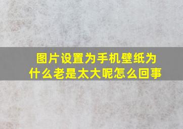 图片设置为手机壁纸为什么老是太大呢怎么回事