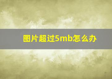 图片超过5mb怎么办