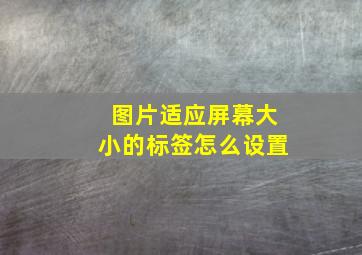 图片适应屏幕大小的标签怎么设置