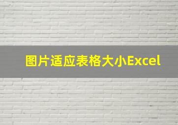 图片适应表格大小Excel