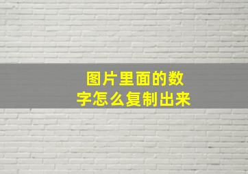 图片里面的数字怎么复制出来