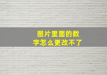 图片里面的数字怎么更改不了