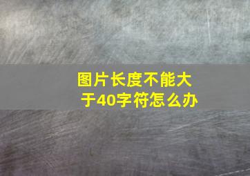 图片长度不能大于40字符怎么办