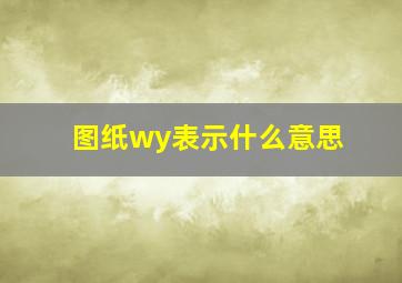 图纸wy表示什么意思