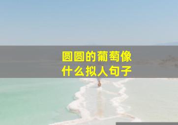 圆圆的葡萄像什么拟人句子