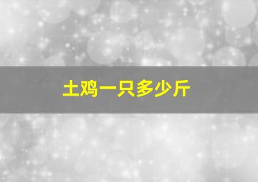 土鸡一只多少斤