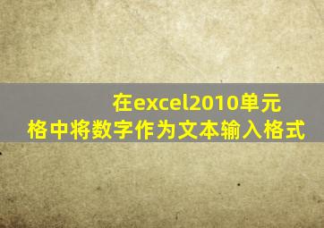 在excel2010单元格中将数字作为文本输入格式