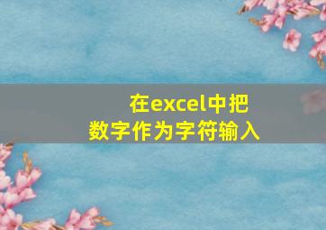 在excel中把数字作为字符输入