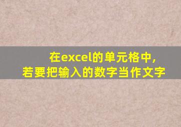 在excel的单元格中,若要把输入的数字当作文字