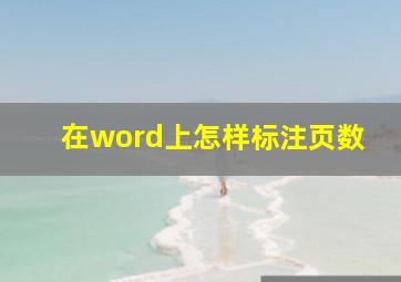 在word上怎样标注页数