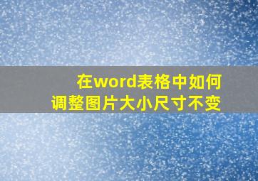 在word表格中如何调整图片大小尺寸不变