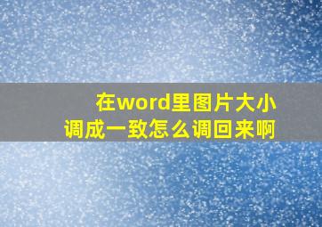 在word里图片大小调成一致怎么调回来啊