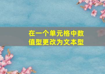 在一个单元格中数值型更改为文本型