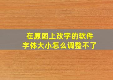 在原图上改字的软件字体大小怎么调整不了