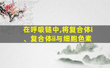 在呼吸链中,将复合体i、复合体ii与细胞色素