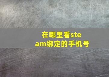 在哪里看steam绑定的手机号