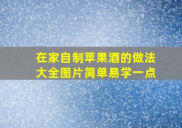 在家自制苹果酒的做法大全图片简单易学一点