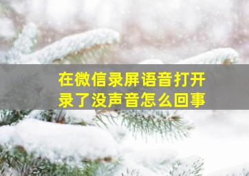 在微信录屏语音打开录了没声音怎么回事